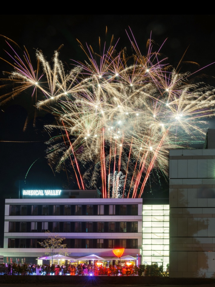 An impressive fireworks display lights up the dark sky above Medical Valley. The Medical Valley sign shines brightly above while people celebrate happily below.